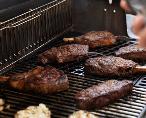 Weber Genesis Smart EPX-435 4-Burner Gas Barbecue (Natural Gas) — Genesis Sear Zone cooking feature