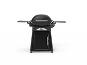 Family Q+ Q3100N+ Midnight Black LPG image 0